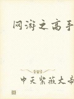 网游之高手寂寞