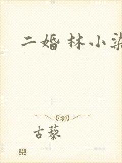 二婚 林小染