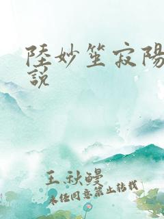 陆妙笙寂阳朔小说