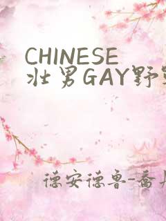CHINESE壮男GAY野战强迫TUBE