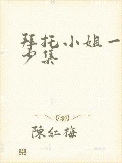 拜托小姐一共多少集