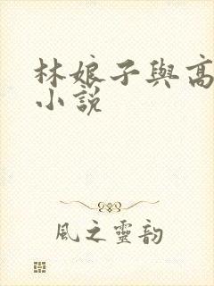 林娘子与高衙内小说