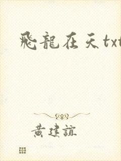 飞龙在天txt