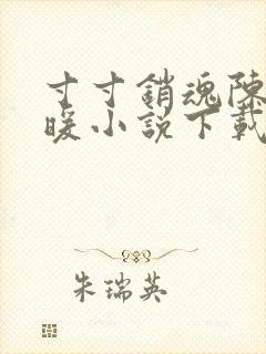 寸寸销魂陈聪王暖小说下载