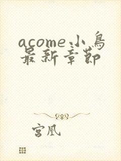 acome小鸟最新章节