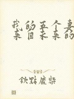 我的五个妻子和来自未来的孩子