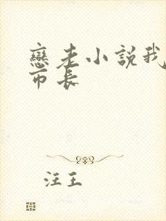 恋老小说我和老市长