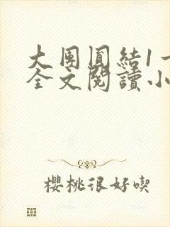 大团圆结1一6全文阅读小说