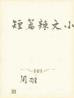 短篇辣文小说