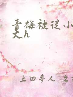 青梅被从小摸到大h