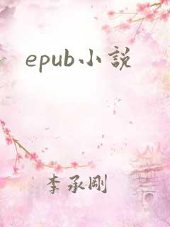 epub小说