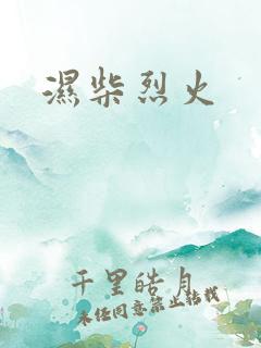 湿柴烈火