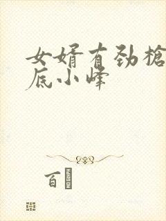 女婿有劲枪枪到底小峰