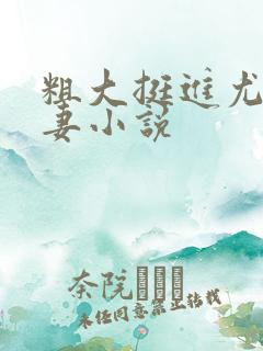 粗大挺进尤物娇妻小说