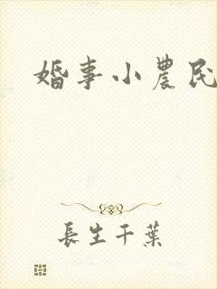 婚事小农民
