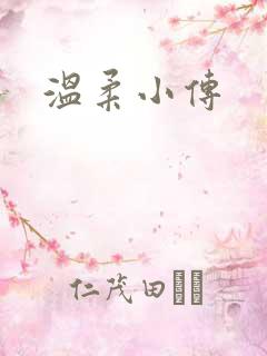 温柔小传