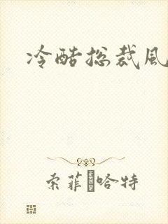 冷酷总裁风流妻