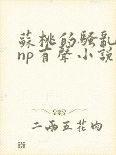 苏桃的骚乱文肉np有声小说