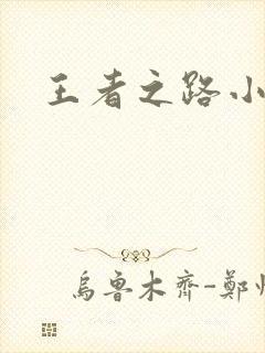 王者之路小说