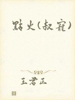 点火(叔宠)