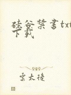 硅谷禁书txt下载