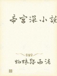 帝宫深小说