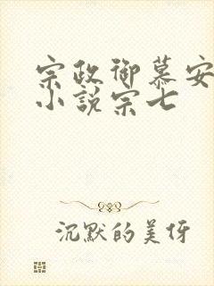 宗政御慕安安的小说宗七