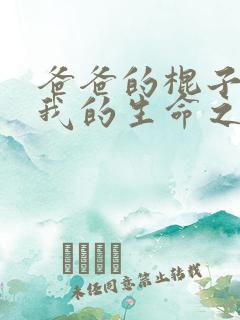 爸爸的棍子顶着我的生命之门