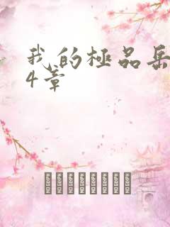 我的极品岳坶34章