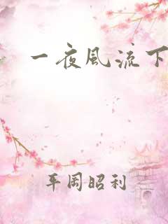 一夜风流下载