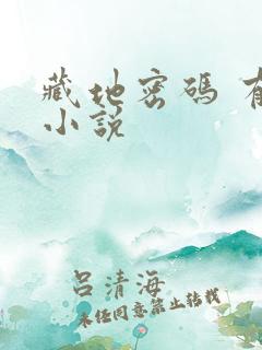 藏地密码 有声小说