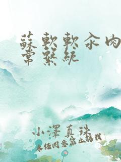 苏软软汆肉的日常系统