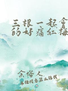 三根一起会坏掉的好痛红梅