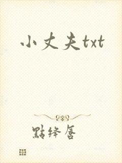小丈夫txt