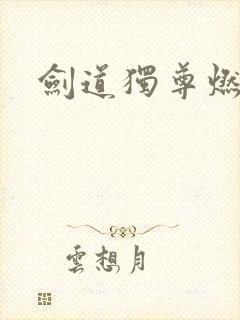 剑道独尊燃文