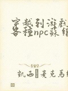 穿越到游戏里和各种npc苏绾