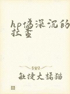 hp伪深沉的萨拉查