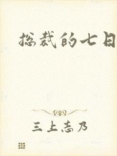 总裁的七日恋人