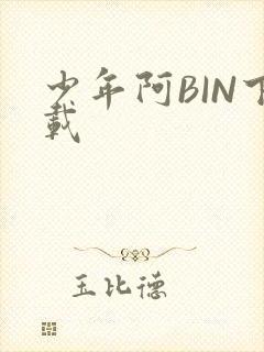 少年阿BIN下载