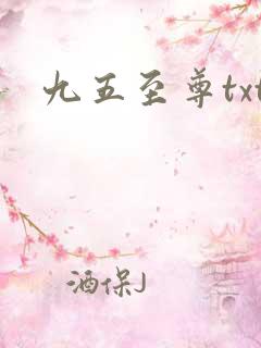 九五至尊txt