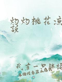 灼灼桃花凉 小说