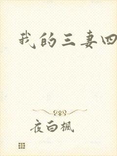 我的三妻四妾