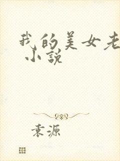 我的美女老婆们 小说