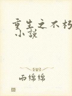 重生之不朽传奇 小说