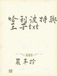 哈利波特与混血王子txt