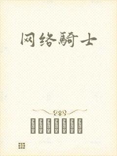 网络骑士