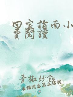 回家指南小说免费阅读