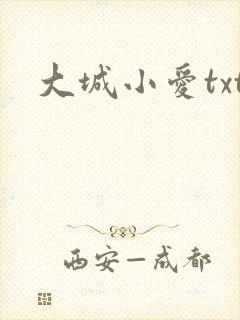 大城小爱txt