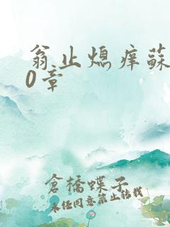 翁止熄痒苏钥10章