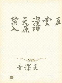 禁天漫堂直接进入原神